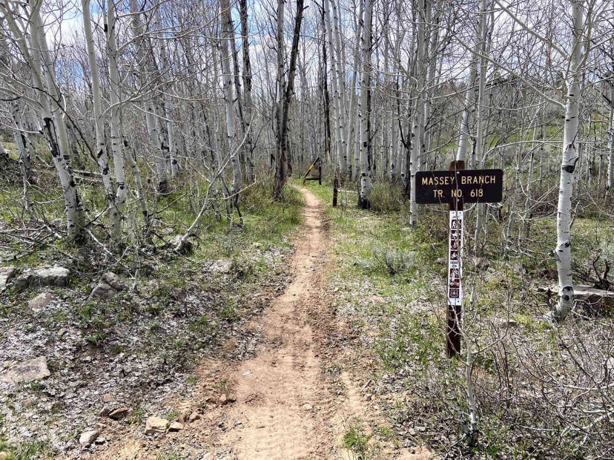 Massey Branch Trail trail photo