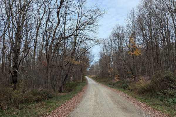 Fox Road
