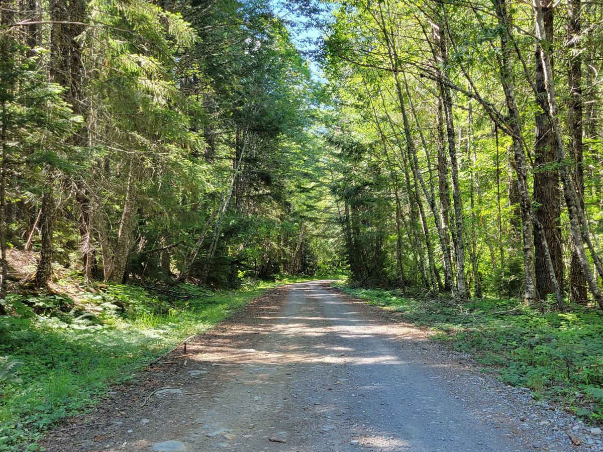 FR 65 - Panther Creek photo 2