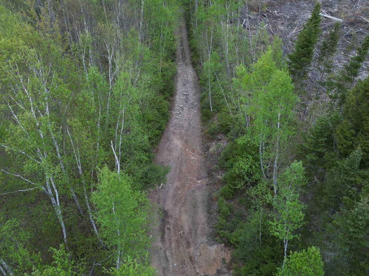 Douglas Clear Cut Bypass photo 5