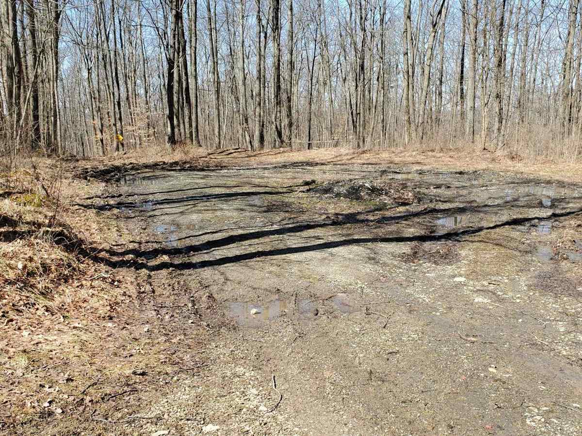 West Hill Trail photo 4
