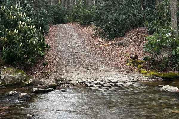 Horse Creek