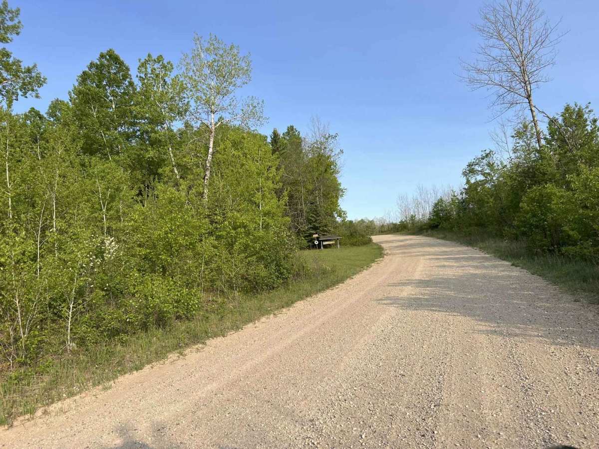 Browns Lake Road photo 6