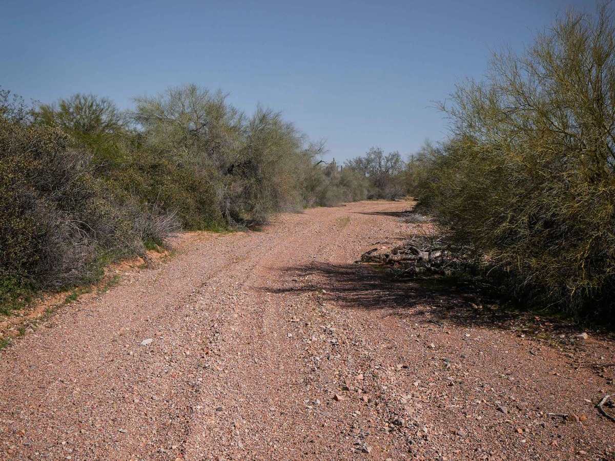 9067 trail photo