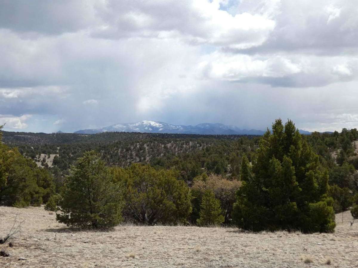 Baney Canyon trail photo