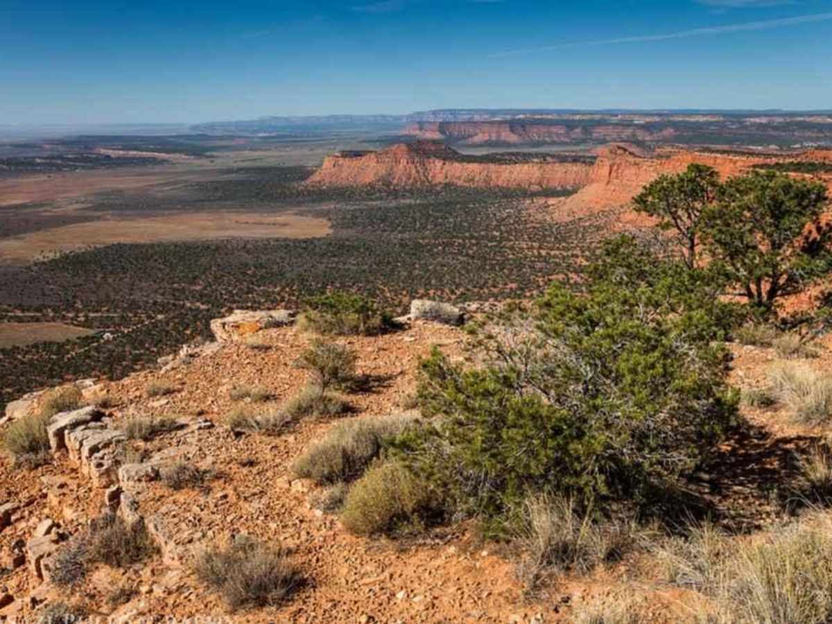 Glass Eye Spring-BLM 564-KC 3355 photo 4