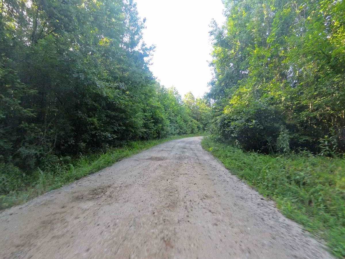 Bear Creek Road photo 3