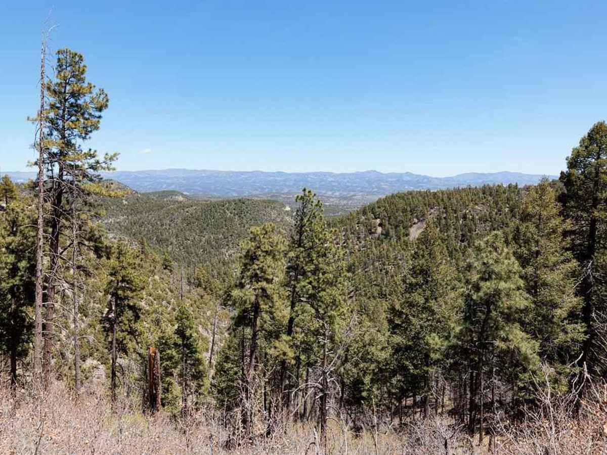 Bear Canyon Rd-FS 855 A photo 3