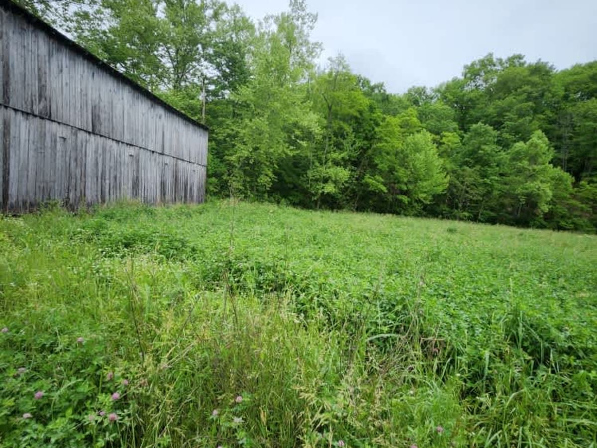 Beech Fork  Road photo 3