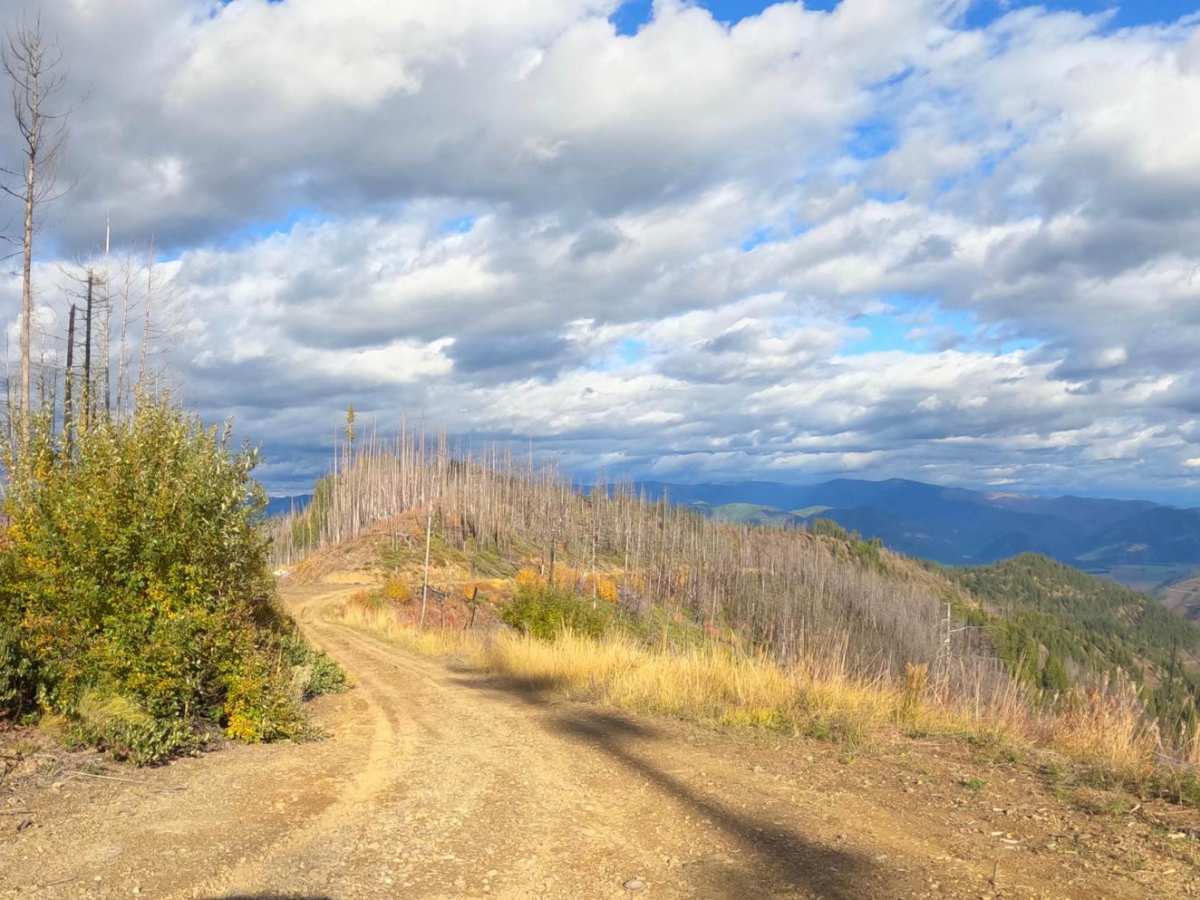 Sunrise Point Road photo 3
