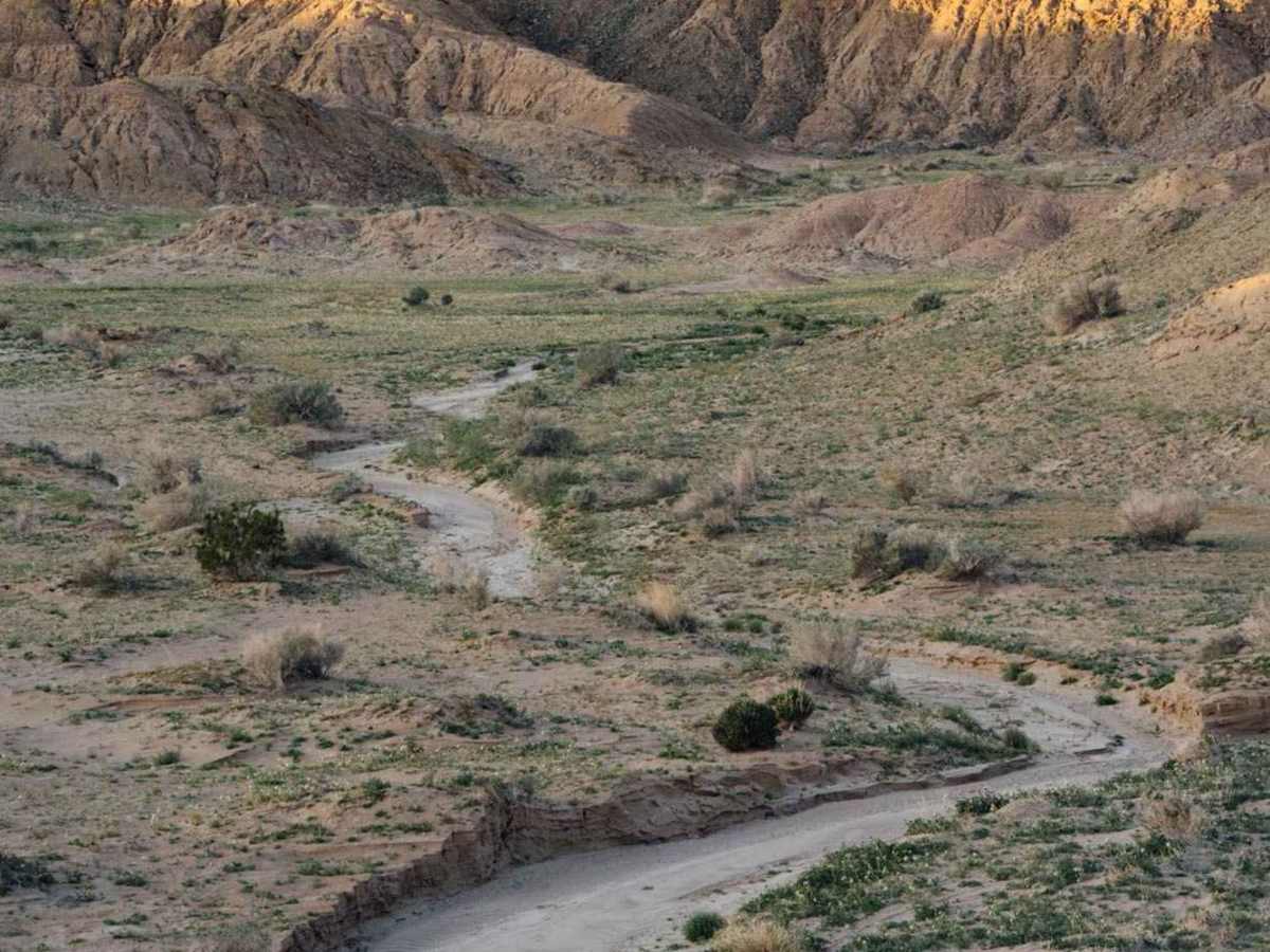 Hahapa Flat Road trail photo