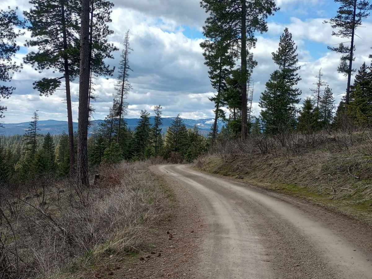 Mount Coeur d'Alene (439) photo 4