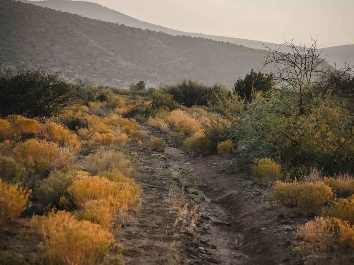 Underhill #528 trail photo