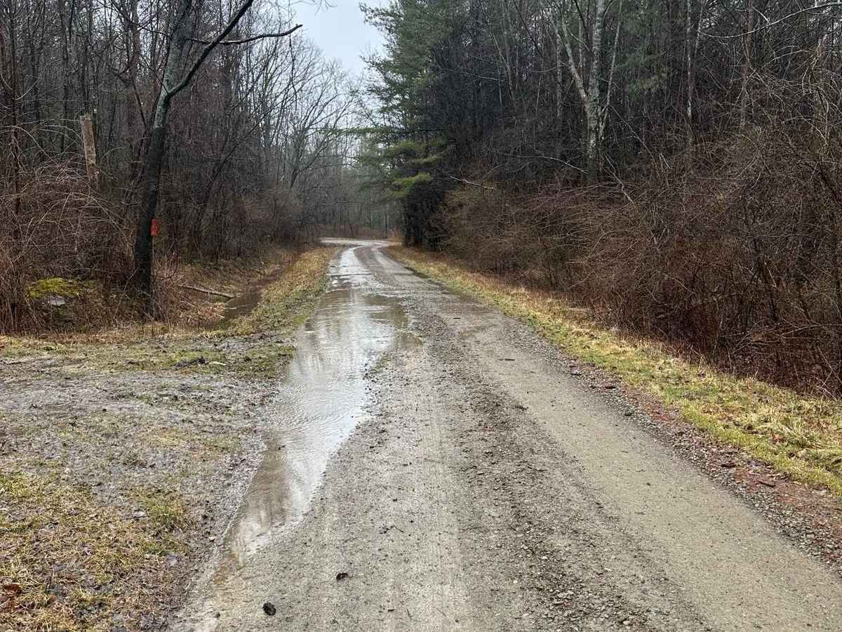 Puffer Road photo 4