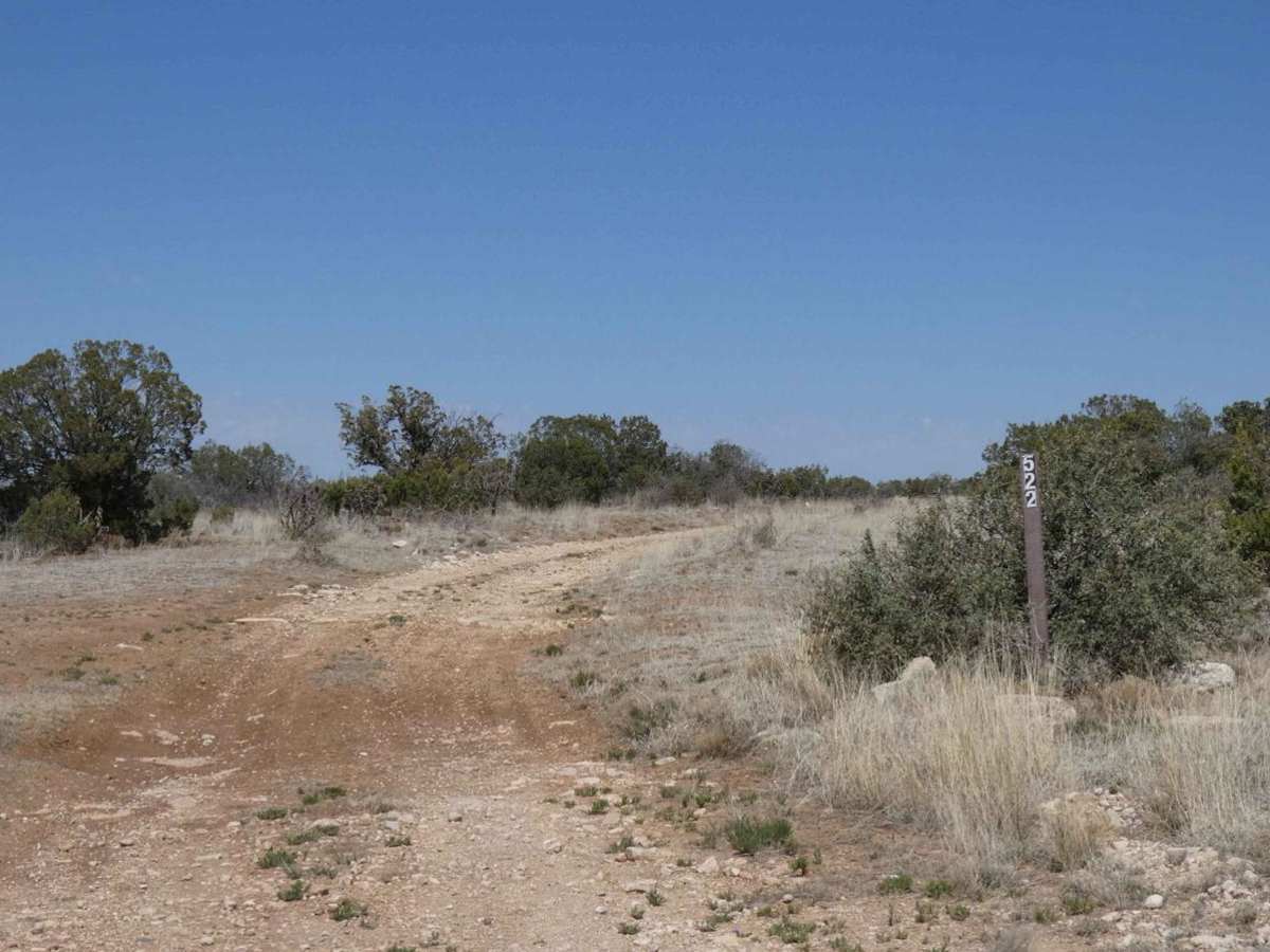 Rawhide trail photo