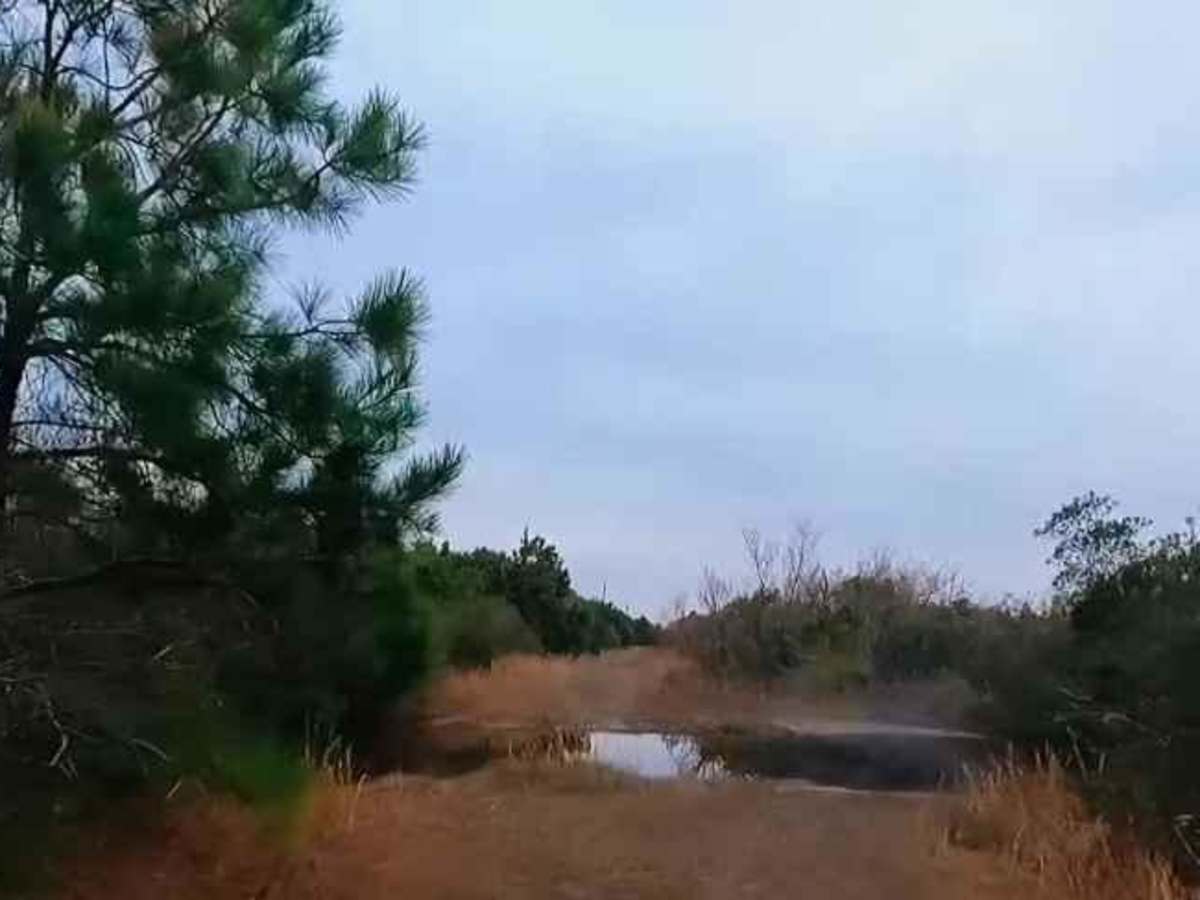 Ocean Pearl Road - The Gauntlet photo 4