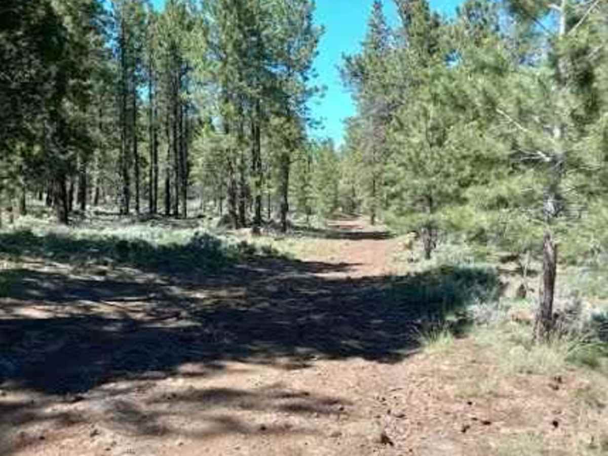 Sandy Caddy Creek Loop photo 5