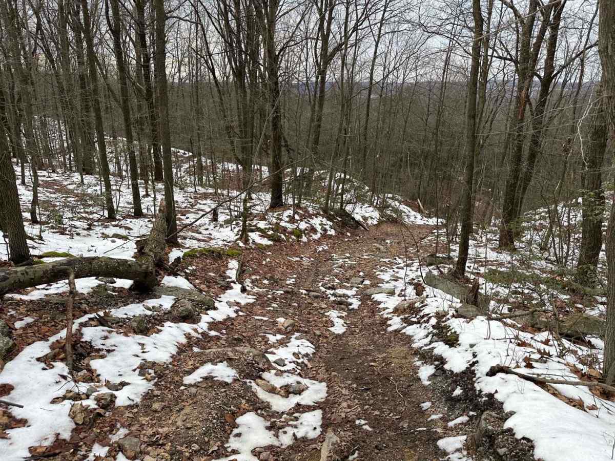 Ashland 183 photo 3