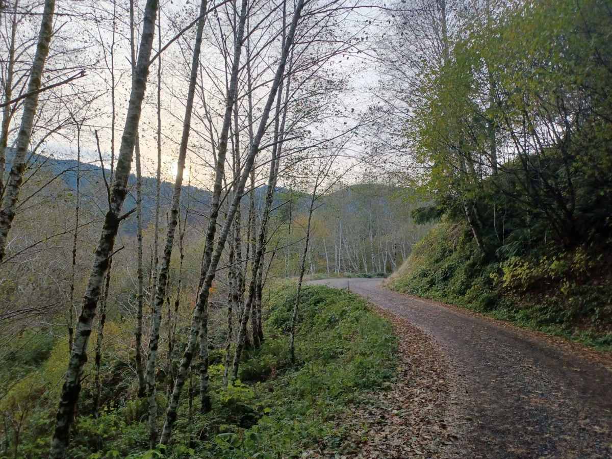 Cedar Creek trail photo