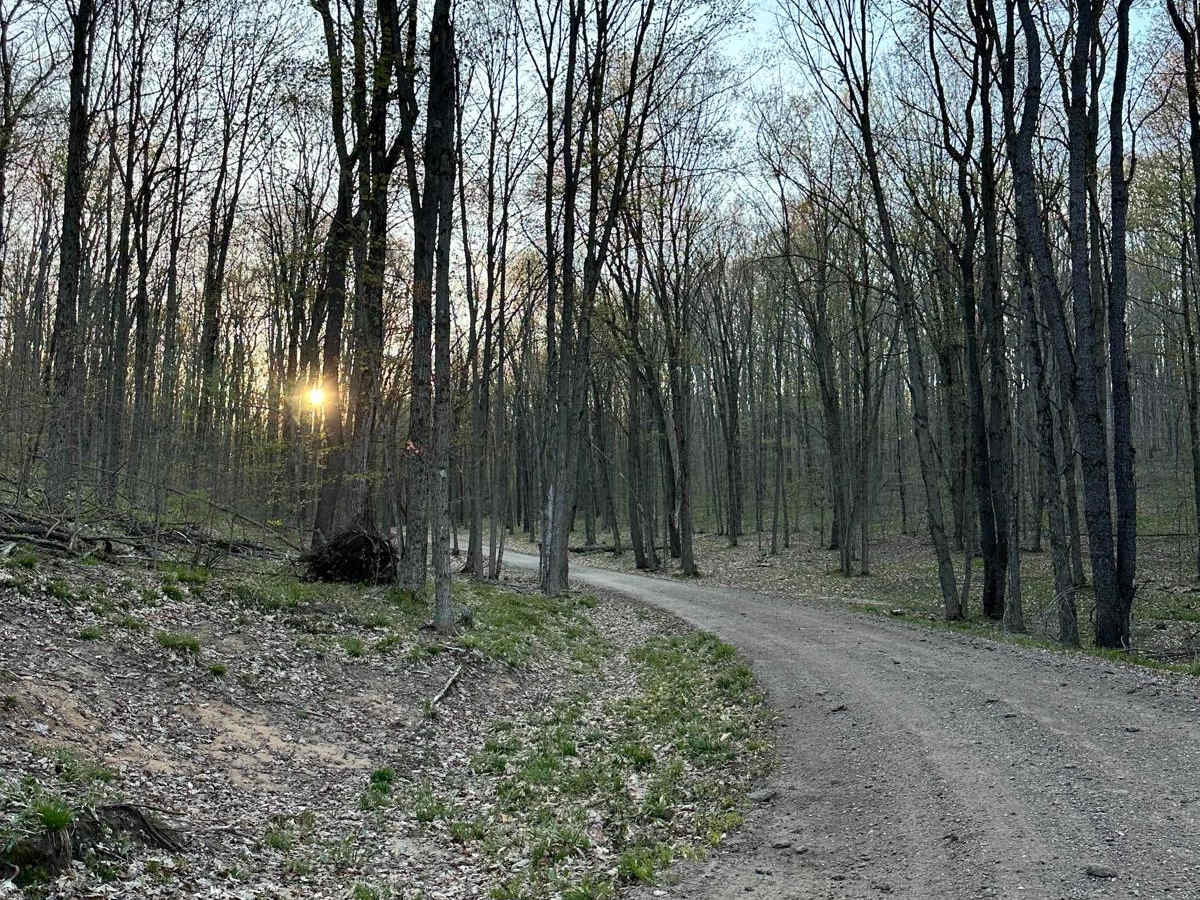 Cadillac Area ORV/OHV Scenic Ride - Caberfae Overlook photo 6