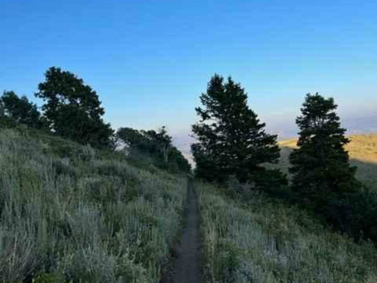 Coldwater Peak (6087) photo 5
