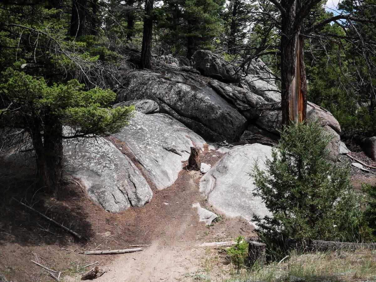 Moto St Downhill photo 2