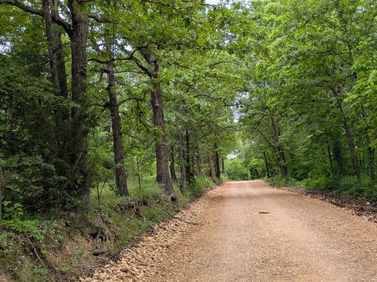 D4520 trail photo