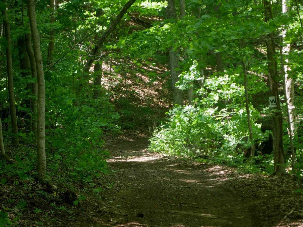 Trail 13 photo 4