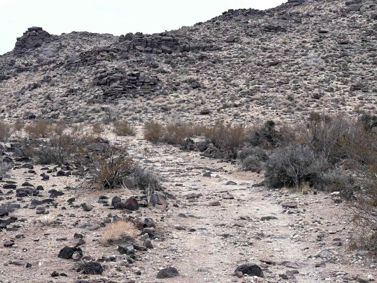 Alkali Spring photo 5