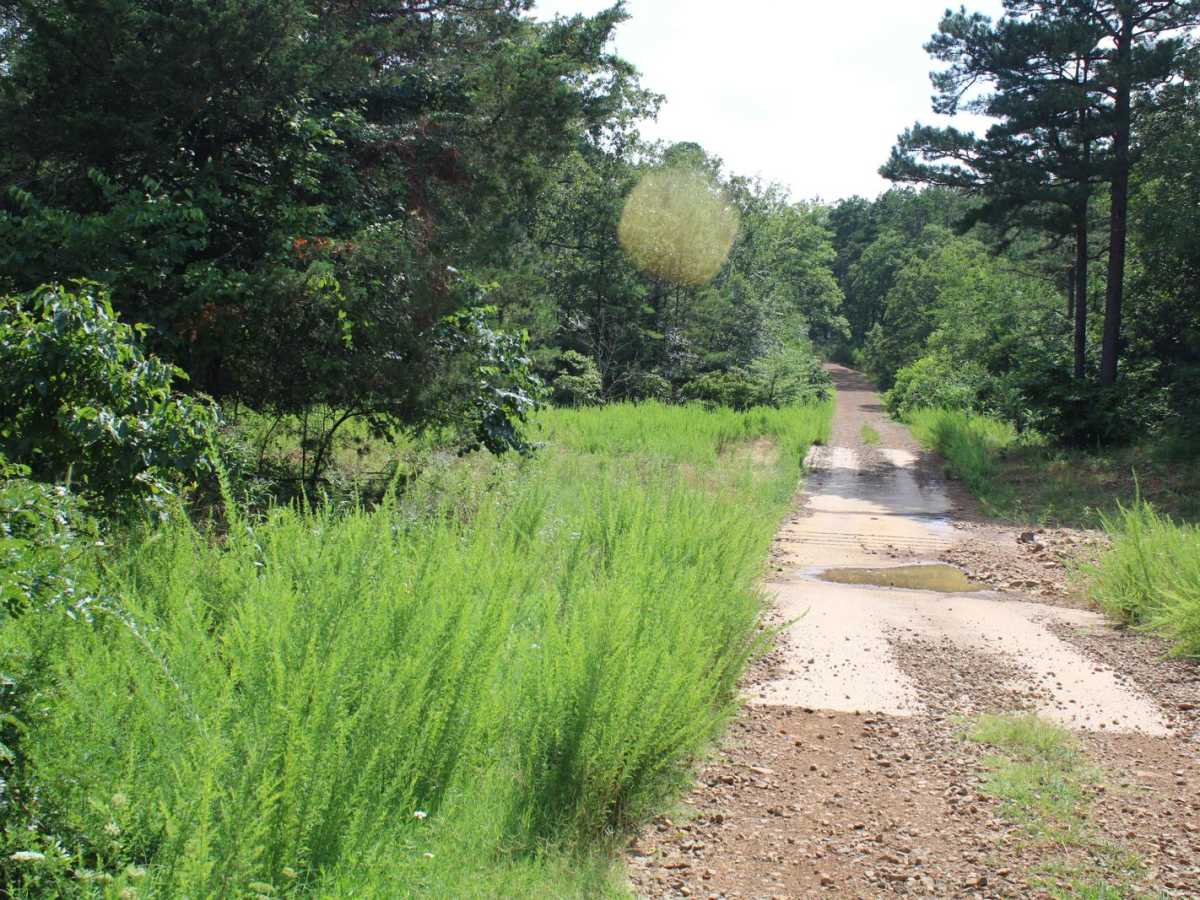 Girard Road to White Oak Road photo 2