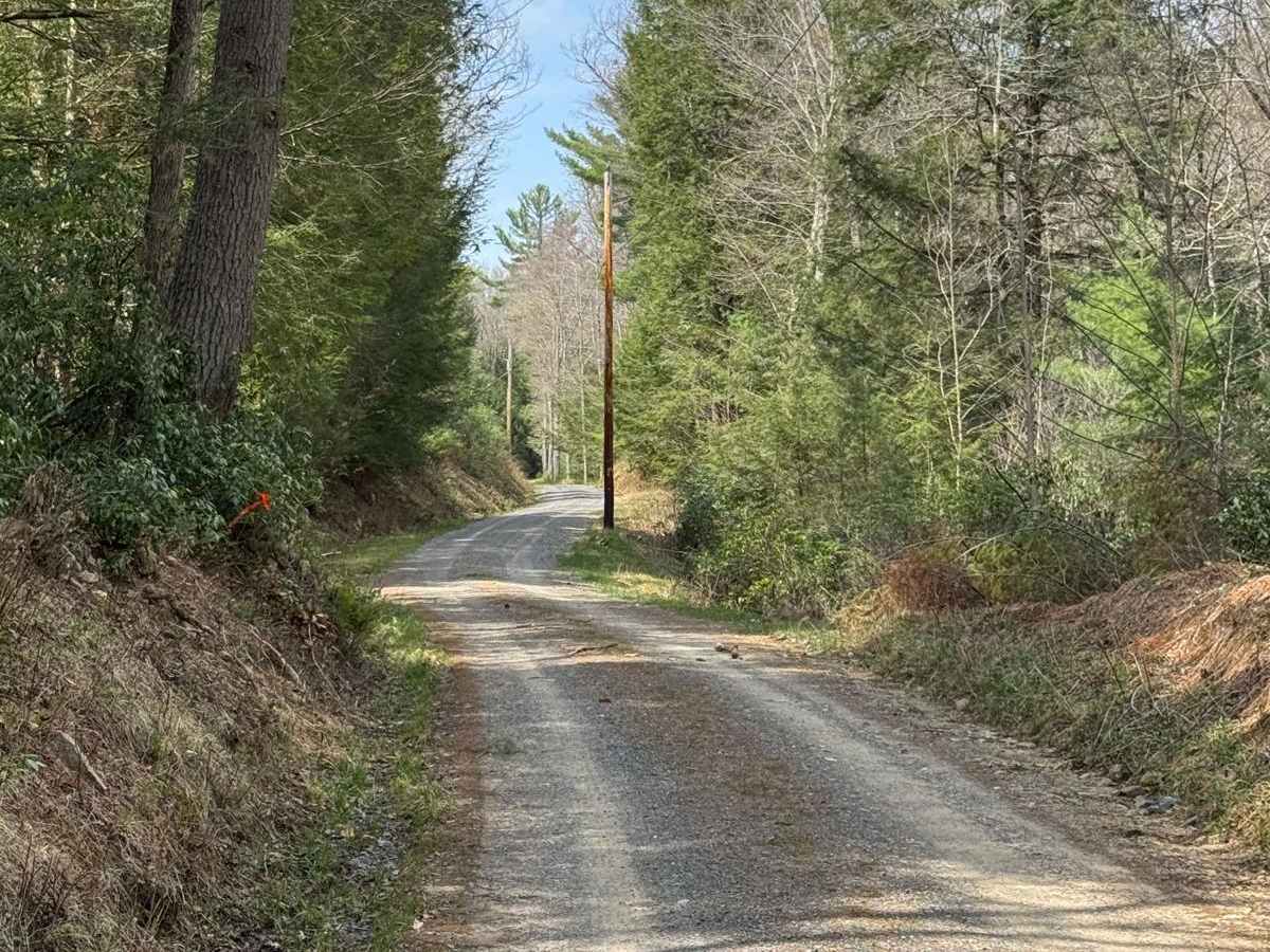 Trout Run Road North photo 2