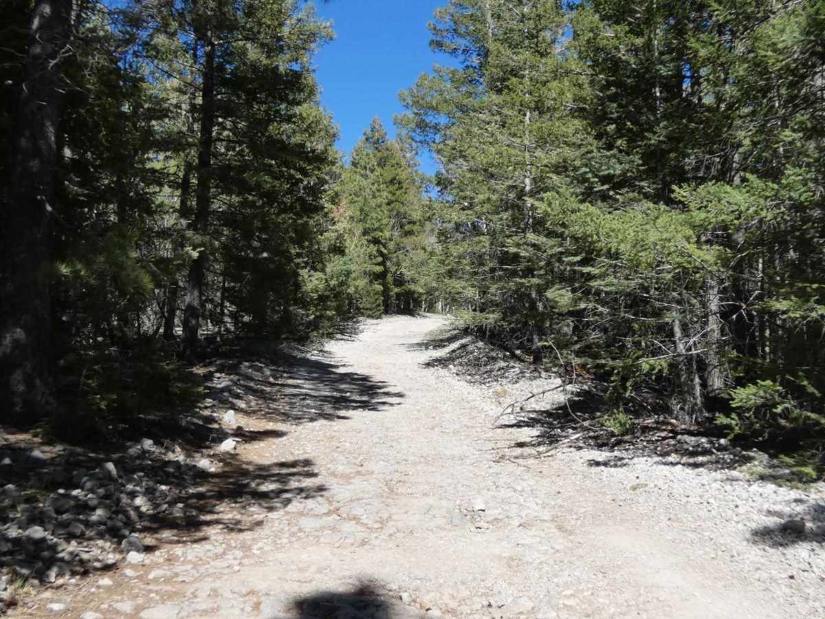 Benson Ridge photo 6