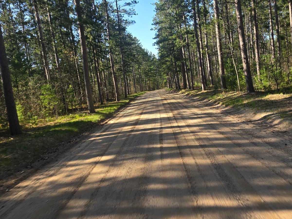 Dow Road photo 3