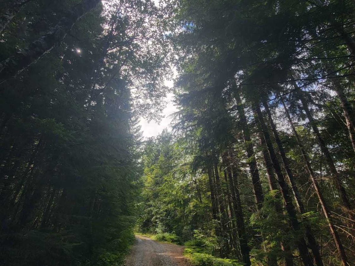 Berry Falls trail photo