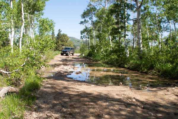 Farmington Flats