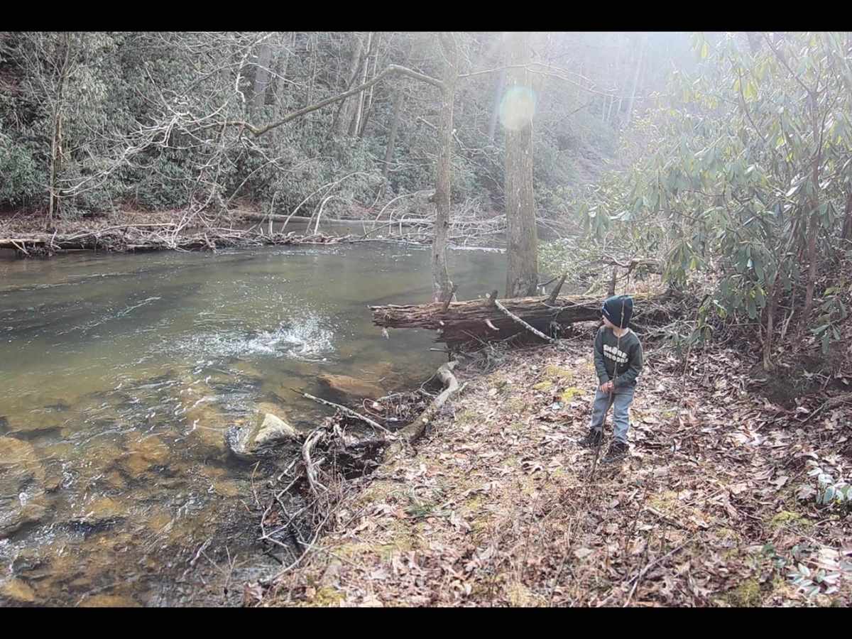 Coker Creek Falls photo 2