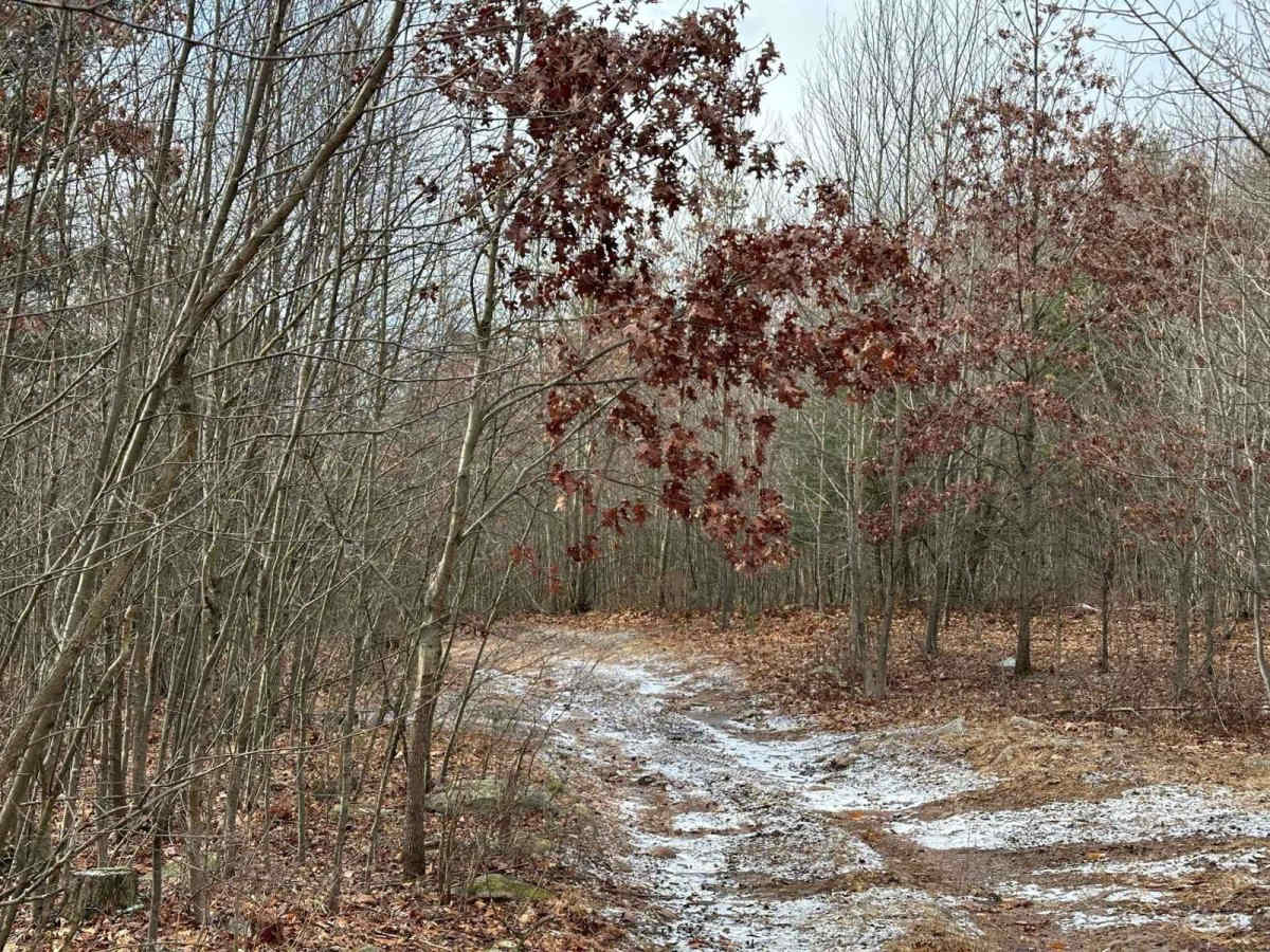 Bypass trail photo