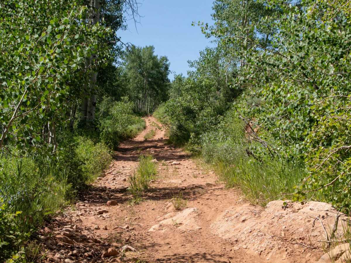 Baldy Wheeler Road photo 3