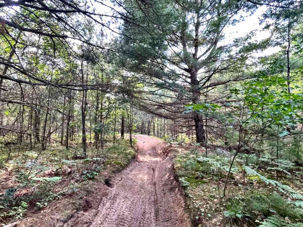 Little Leota Trail trail photo