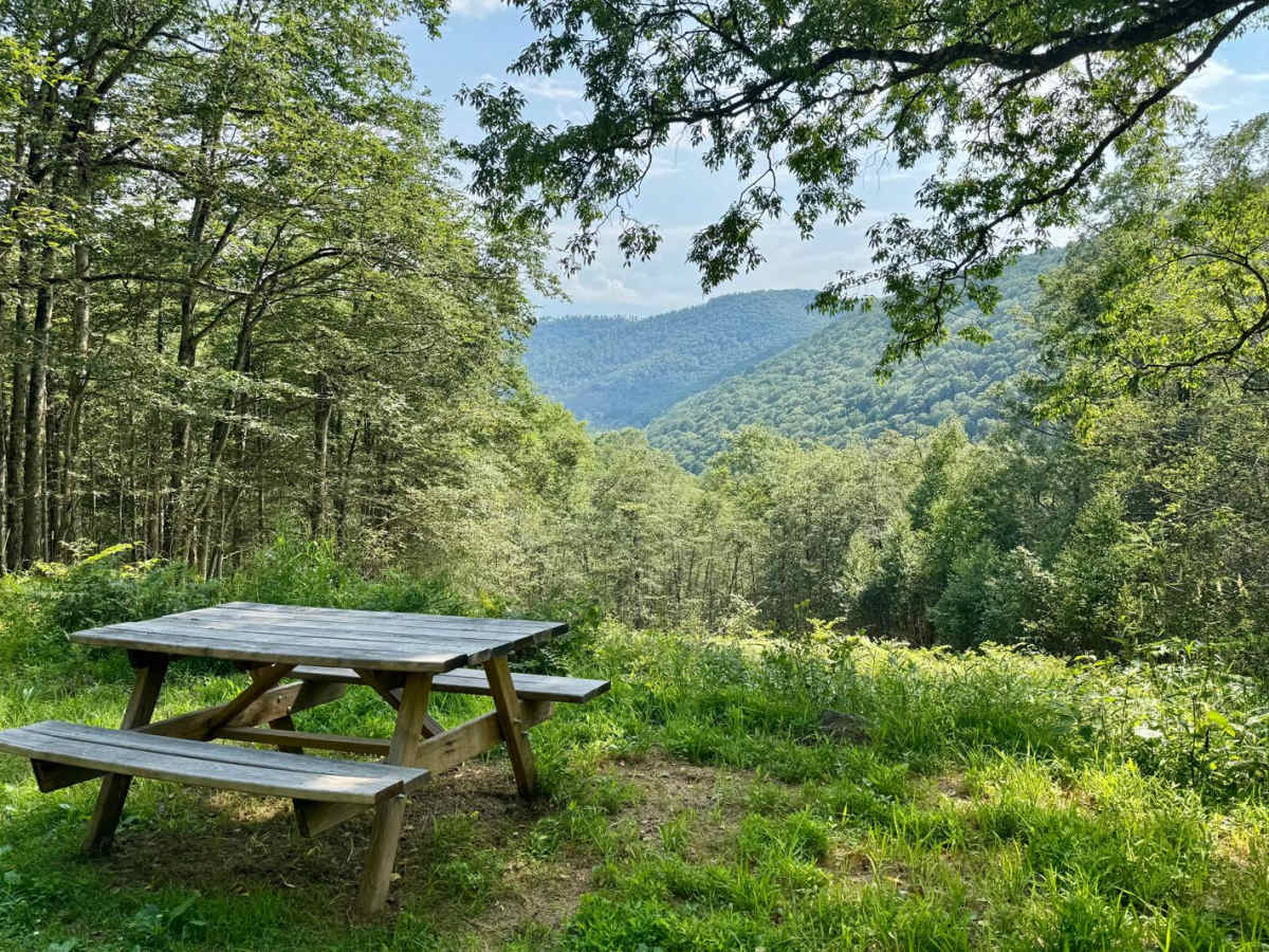 Elevenmile Road trail photo
