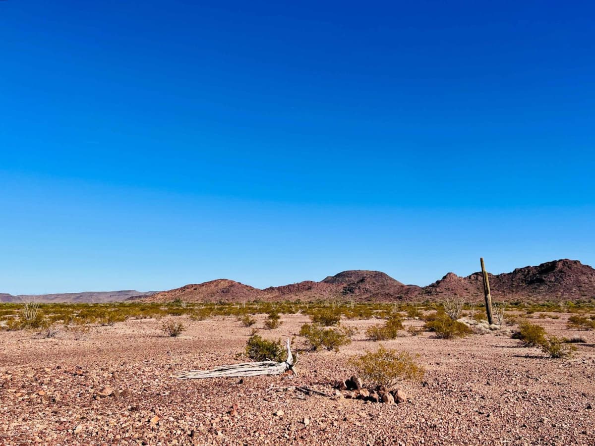 Ocotillo Side Route photo 4