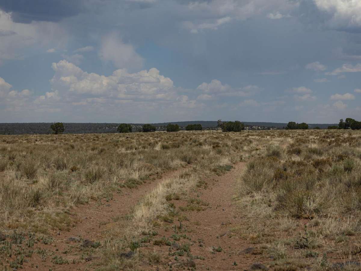 Antelope Run photo 6