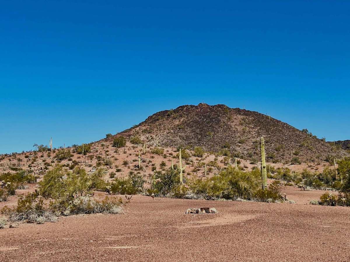 Fancher Mine Loop trail photo