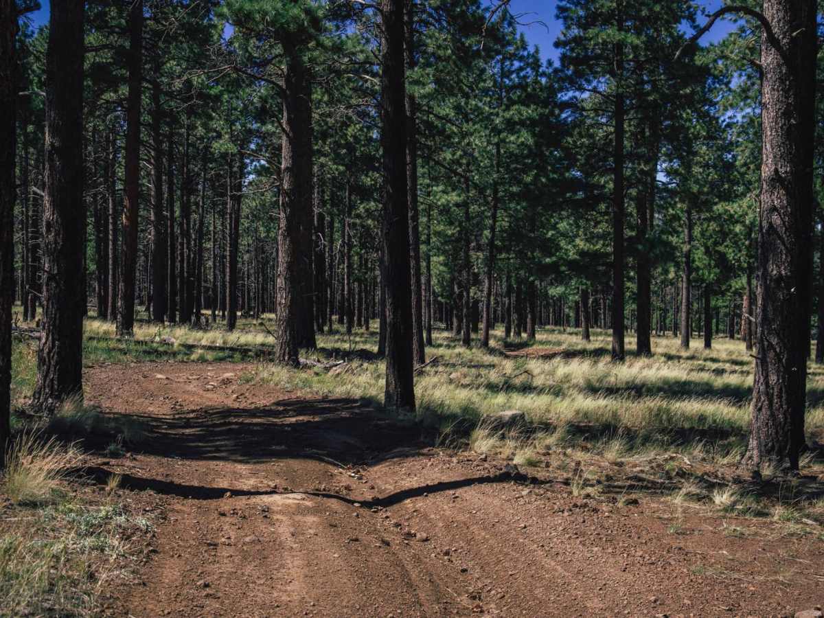 High Grass Crossing photo 5