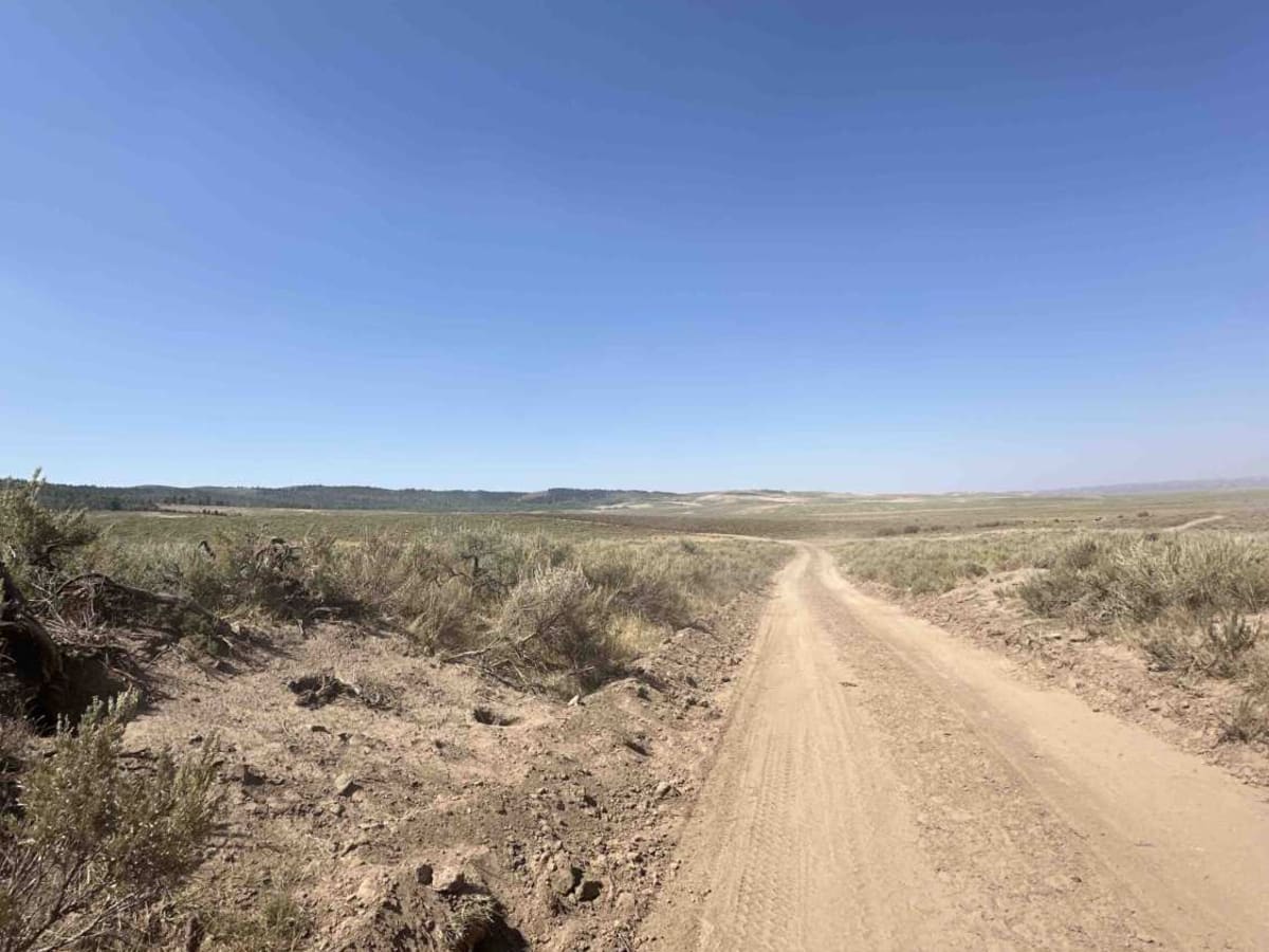 Indian Creek - Cow Camp  photo 5
