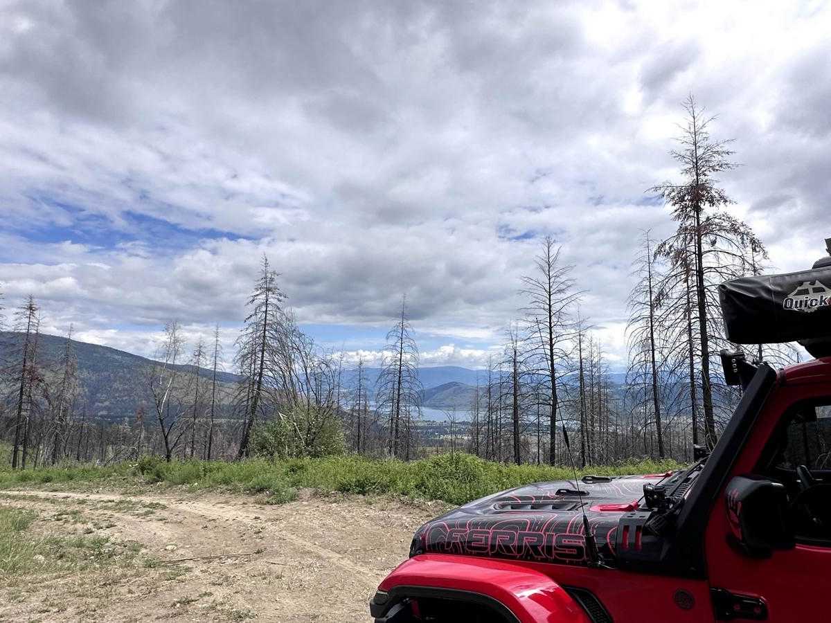 Banks Road trail photo