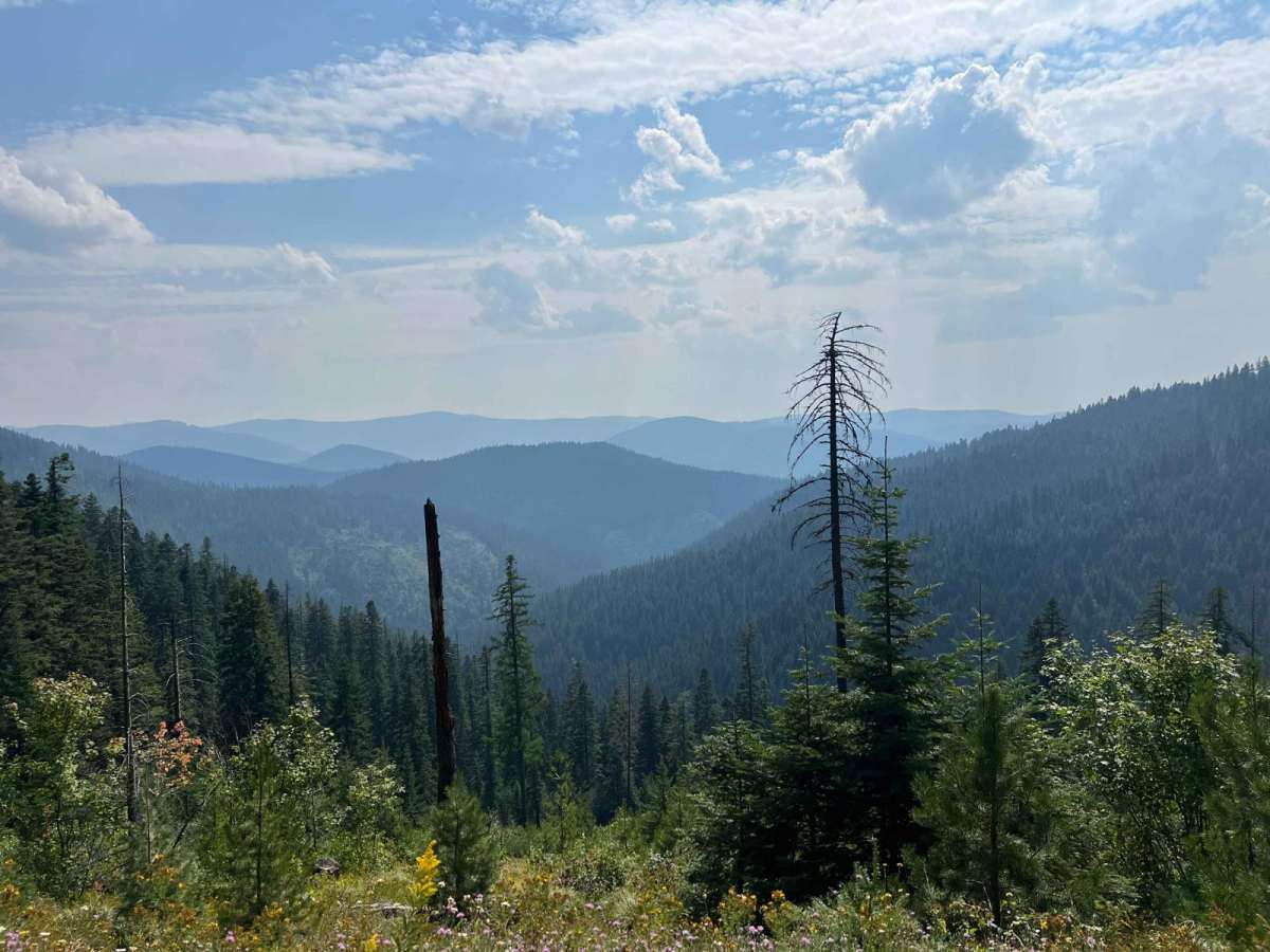North Fork Road to Cascade Saddle trail photo