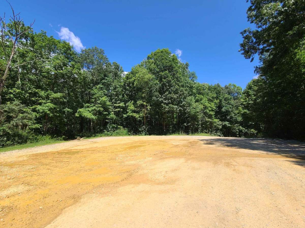 Flatwoods Road - Trail 1 photo 3