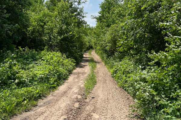 Akeley Cutoff Road SW Connector
