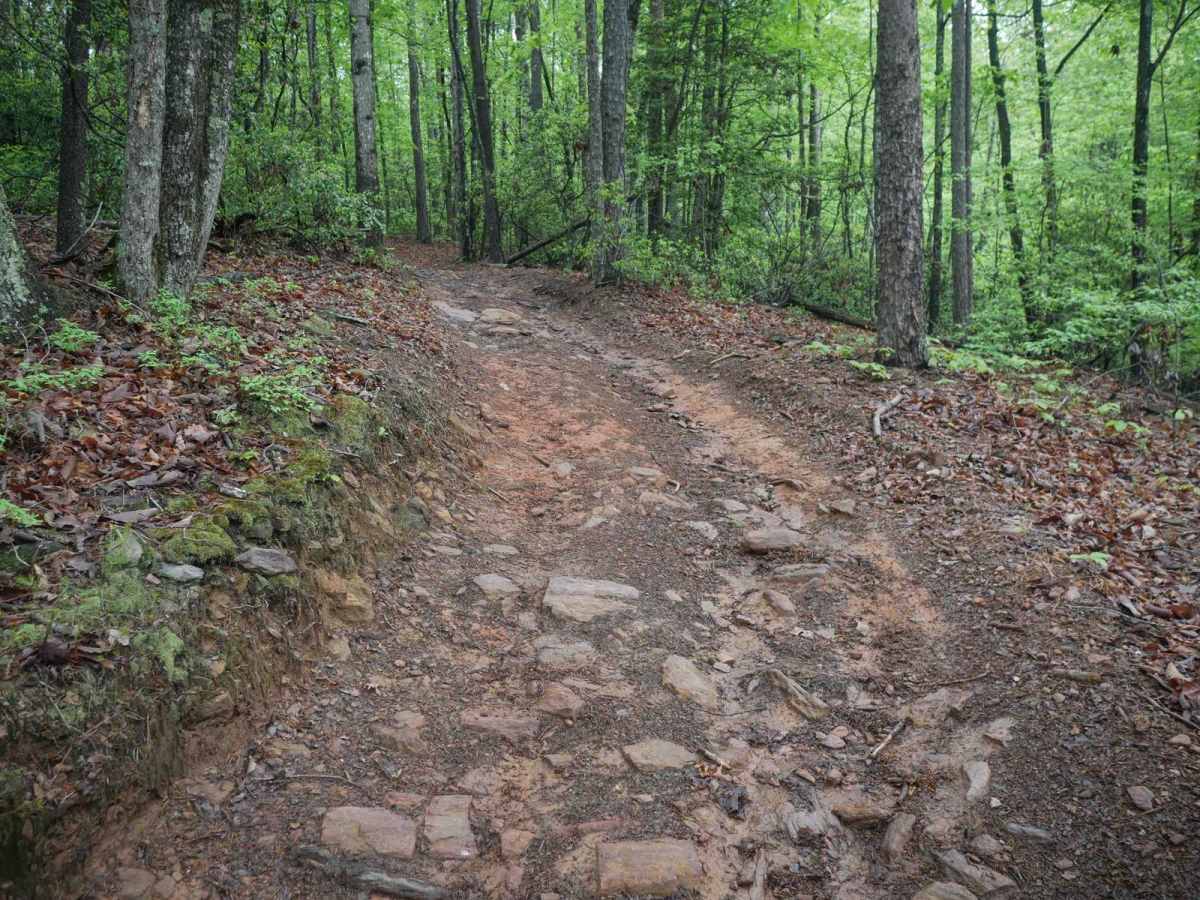 Youth Trail photo 2
